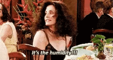 Frizz and humidity frustration